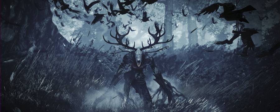 The Witcher 3: Wild Hunt — Будущее