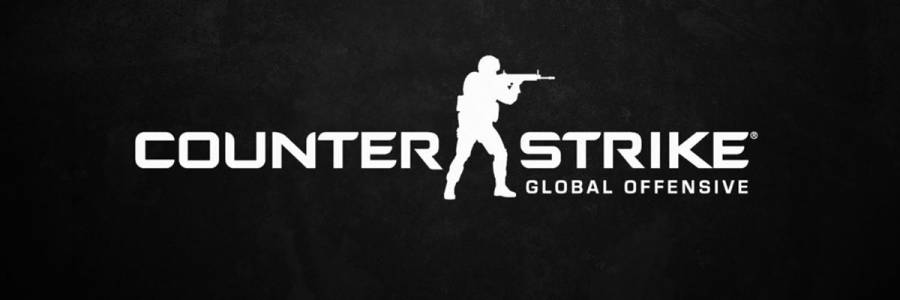 Полицейского рейд во время трансляции CS: GO